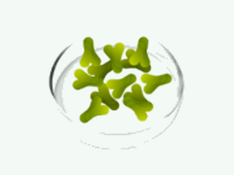 Lactobacillus acidophilus