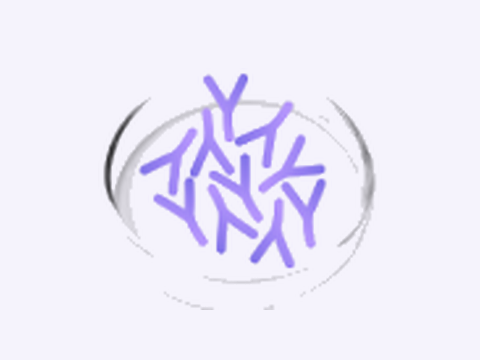Lactobacillus plantarum
