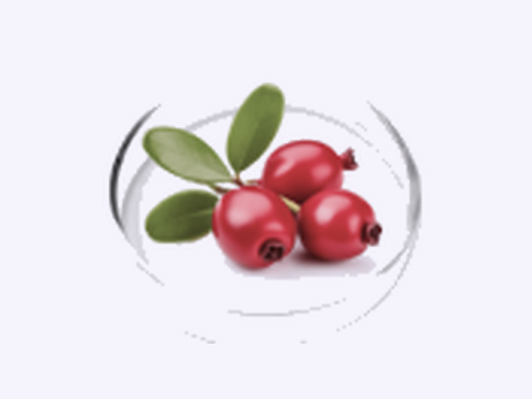 Bearberry