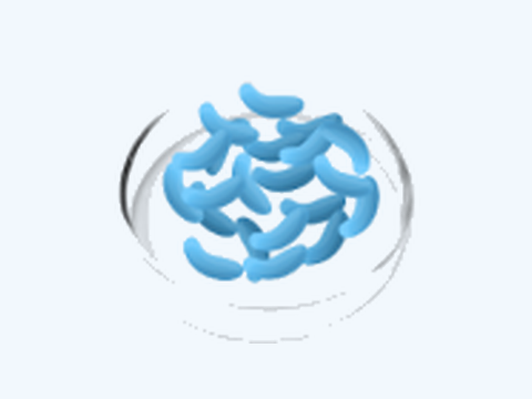 Lactobacillus gasseri